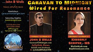 Wired for Resonance - John B Wells LIVE