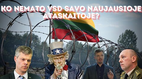 Ko nemato VSD savo naujausioje ataskaitoje?