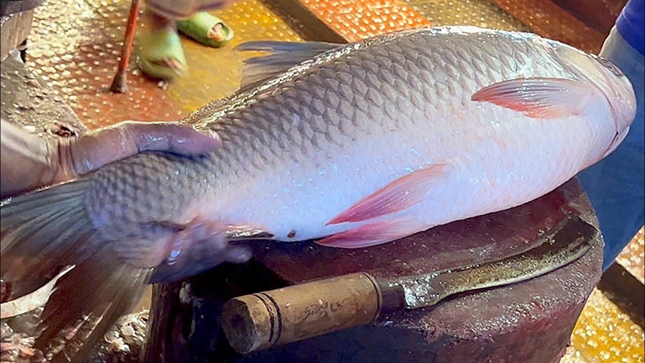 🔥 Expert Fish Cutter SHOWS INSANE Skills | Giant Rohu Fish Cutting Mastery!