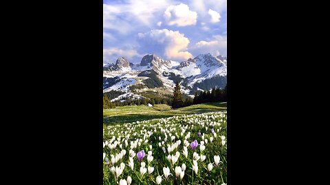 Imagine your self running here !