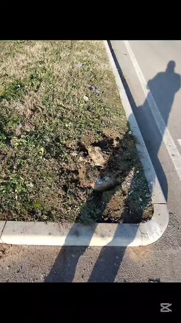 che succede a Magenta?