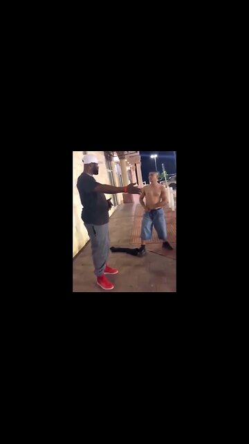 This Is Why Little Mexican Chihuahuas Shouldn't Mess With The Big Dogs