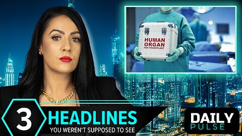 MAiD Organ Harvesting & AI Texts with 'Satan' | Daily Pulse Ep 122