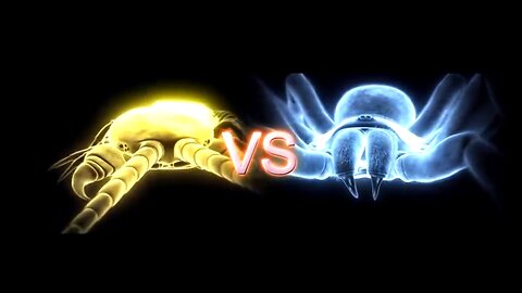 THE KILLER CENTIPEDE WORLD'S DEADLIEST INSECT 🐛