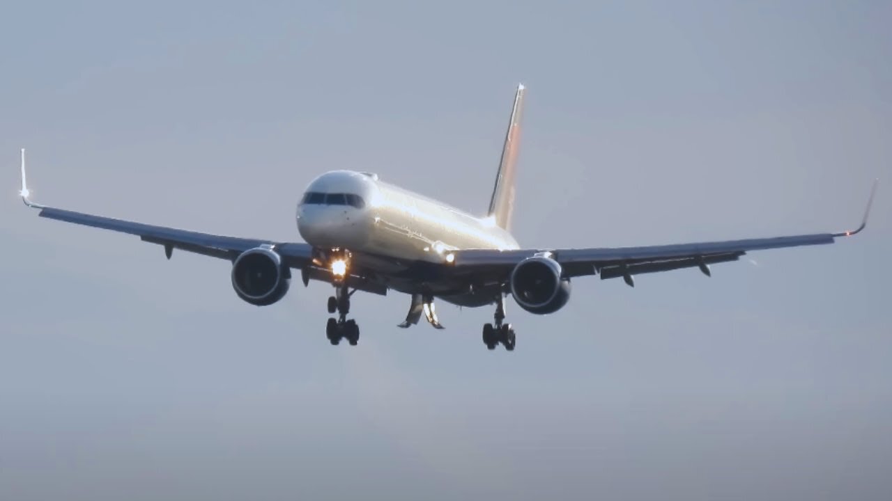 Plane Forced to Land with Failing Landing Gear