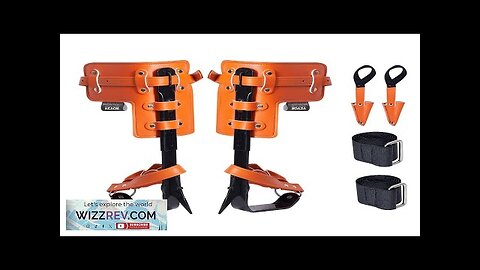 VEVOR Tree Climbing Spikes Climbing Spurs Alloy Steel Arborist Equipment Orange Review