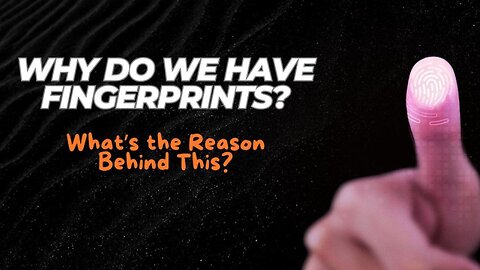 Why do we have Fingerprints?