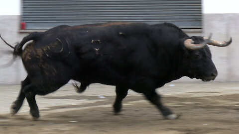 2025 10 06 ALMAZORA EL ROSER