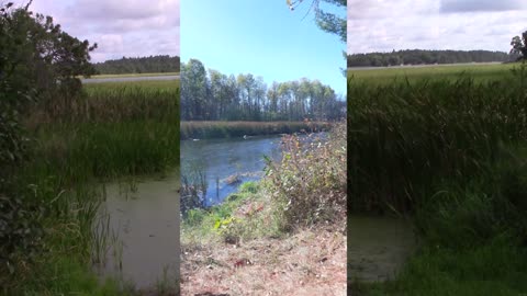 Chicks Saying They Don't Need A Man Is A Lie, Here Is Why