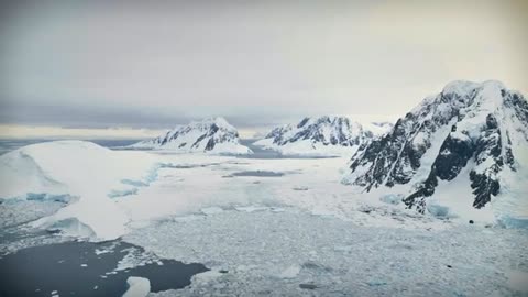 JRE, Elon Musk & Mel Gibson Reveal U.S. Shut Down Antarctica After Drone Captured THIS