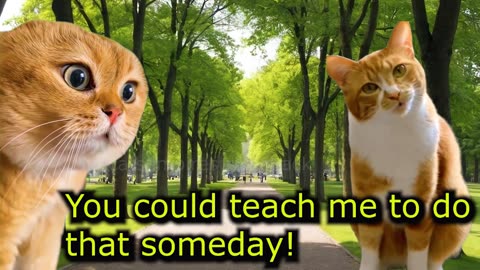 A Cat and his Neighbor are Trying to Read the Future (Ep.95)