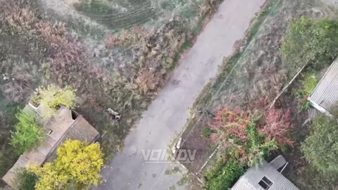 Call Sign "Mio" Ambushed Another AFU Militant in Novogrigorovka