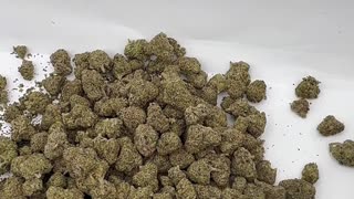 Big Berry Dank from THCA King! Mrs Dank Flamingo Review!!