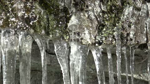Icicles