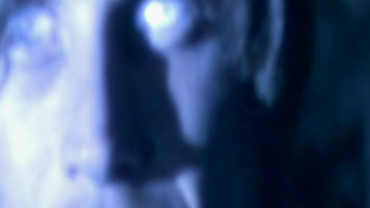 Gyroscope - Beware Wolf = 2006