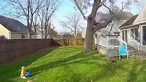 This Is Why AI Still Needs Humans 😂 | Tree Fall Fail