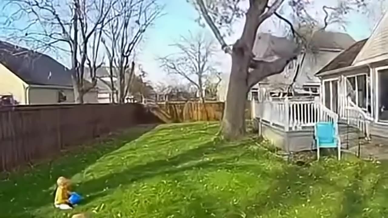 This Is Why AI Still Needs Humans 😂 | Tree Fall Fail