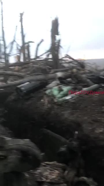 Ukraine war combat/related footage 12/30/25