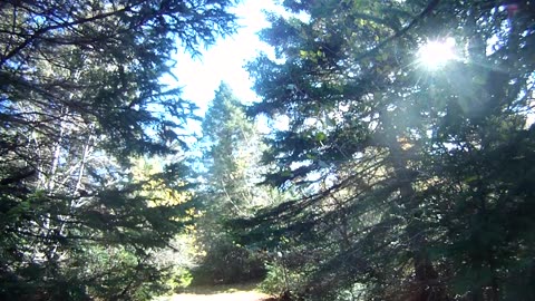 Bird hunting batting zero so far this season.