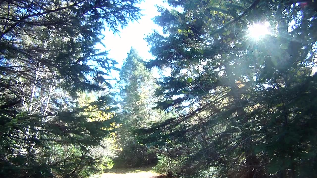 Bird hunting batting zero so far this season.