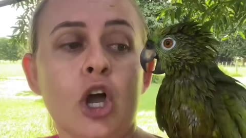 MOUTHY MOUTH PARROT 🦜 IN TROUBLE!