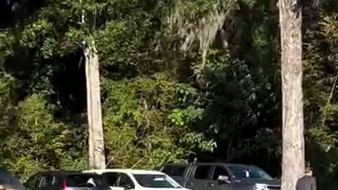 "🚨 TODAY BREAKING NEWS: America's Shocking Developments You Can’t Miss! 🏁🔴"