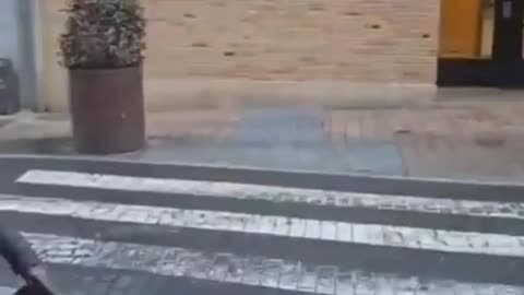 This is Ursula von der Leyen's Europe, where no one is safe.