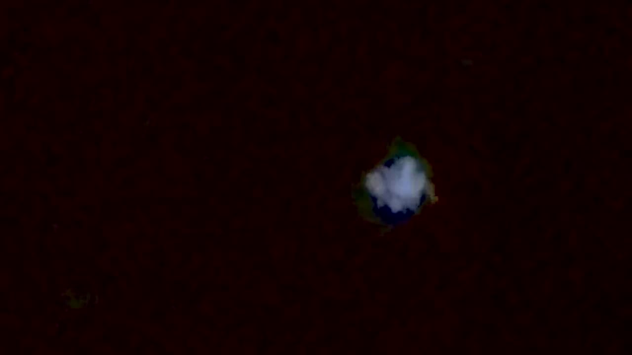 👽🤯 Unbelievable Anomaly! What Could This Be? | TheTruthAbove