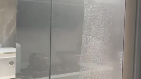 Karcher WV 6 Plus | Window Cleaning Revolution: Get Streak-Free Windows in Seconds!