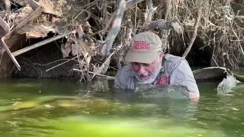 HAND FEEDING 🤣 This not so little) catfish was hungry and I