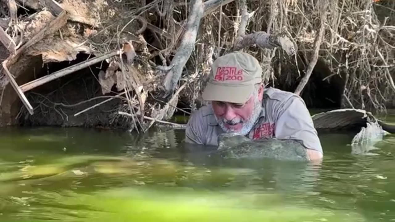 HAND FEEDING 🤣 This not so little) catfish was hungry and I