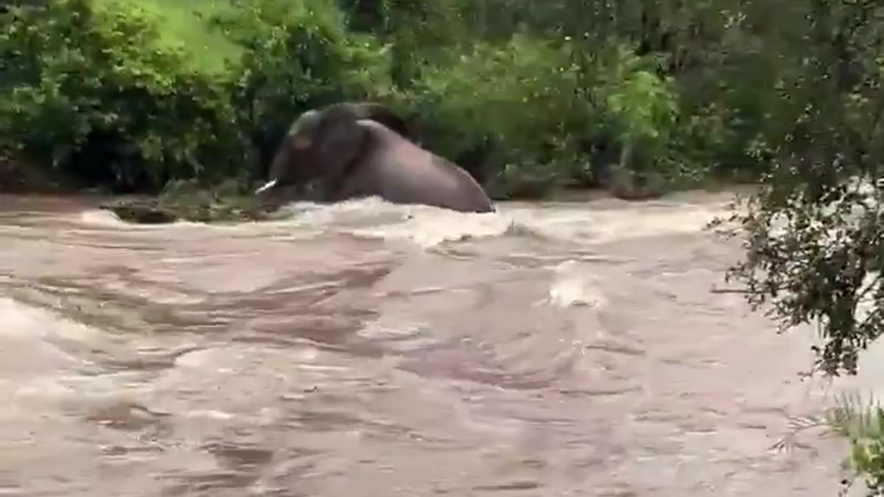 South Africa's Kruger National Park