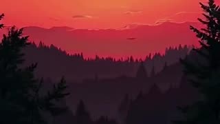 a natureza ao amanhecer do sol vermelho.mp4