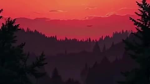 a natureza ao amanhecer do sol vermelho.mp4