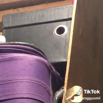 Ratinhos solidários