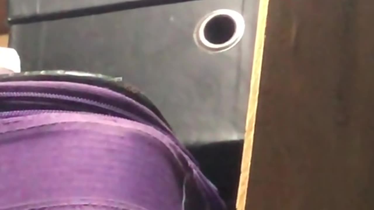 Ratinhos solidários