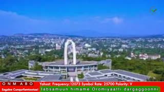 Oduu Galgala ONM-ABO Sadaasa 23-2025 itti dhiyaadhaa!