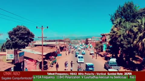 Oduu Waaree ONM-ABO Amajjii 8-2025 dhiyaadhaa!