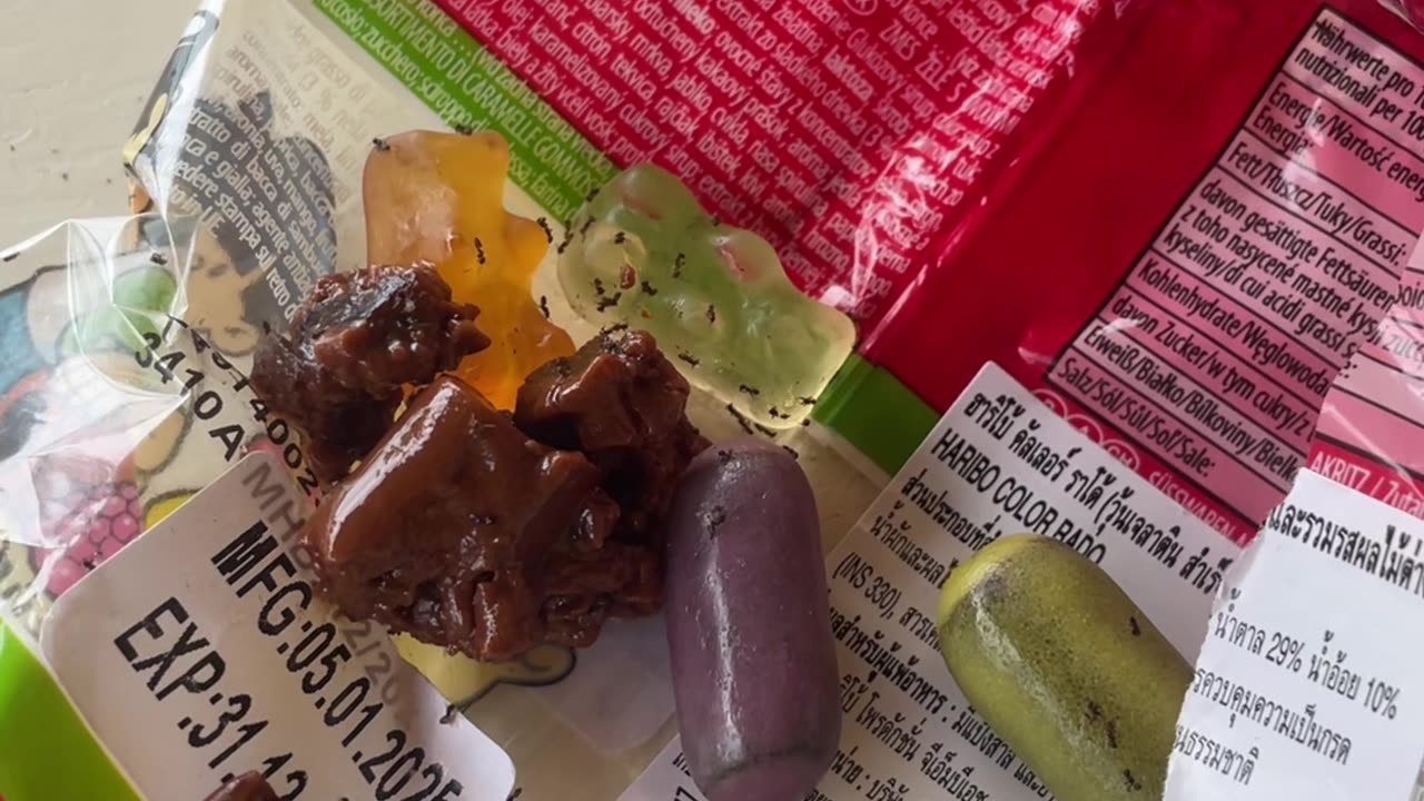 Travel Tip You’ll Never Hear | Haribo - Bugs & What Not to Do #traveltips #travelshorts