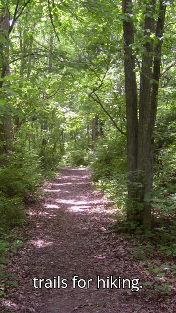 Visiting Hayes Arboretum