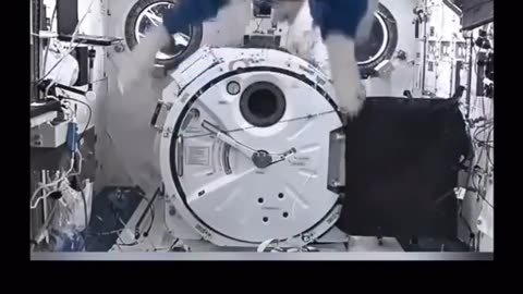 🤯✨ How Different Animals React to Zero Gravity Will Blow Your Mind! | FeedMyCuriosity