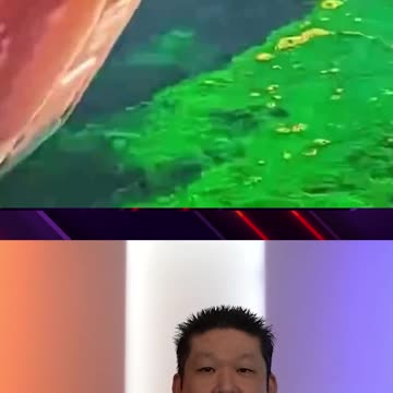 Greta Thunberg Pollutes The Venice Canals 😤😡😠