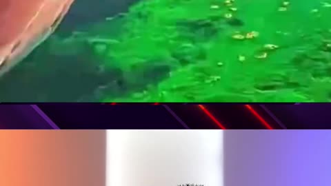 Greta Thunberg Pollutes The Venice Canals 😤😡😠