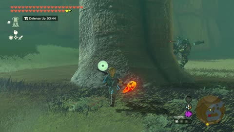 no more arrows vs a lynel