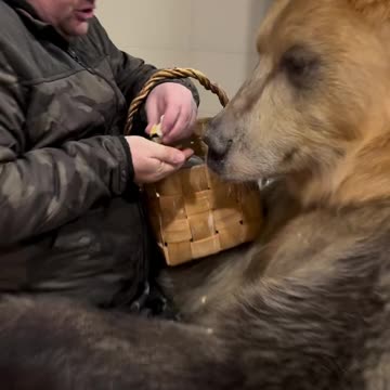 Just a lovely small pet addition to the family