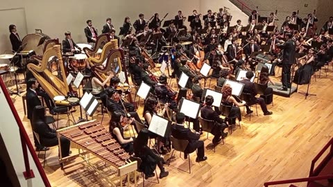 Studying to be Professional Musicians