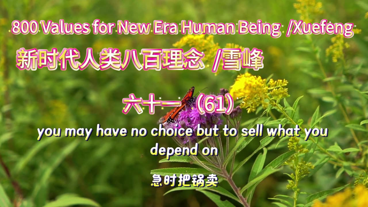 800 Values for New Era Human Being(61)