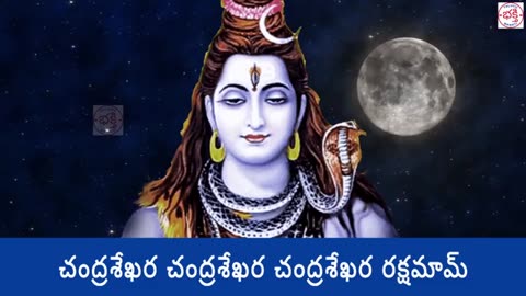 Shivratri 2025 Special Telugu Bhakti Songs | బిల్వాష్టకం - లింగాష్టకం - శివ| LORD SHIVA BHAKTI SONGS