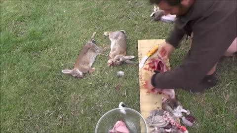 Rabbit hunting: How to cook rabbits