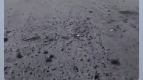 💥🏎️ Ukraine Russia War | Russian Assault Column in Action | RCF